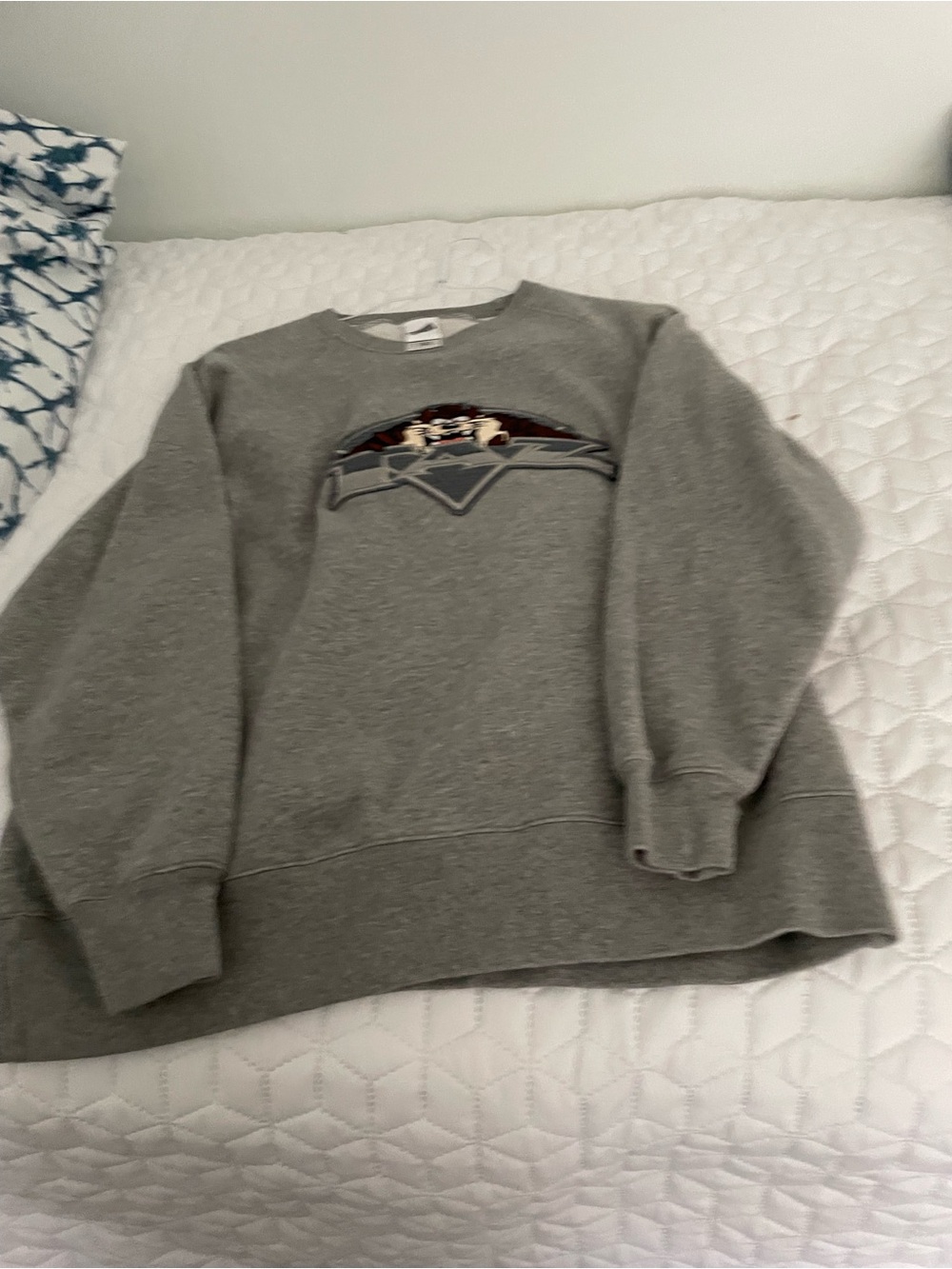 Warner Bros. Gray Crewneck Sweatshirt with Embroidered Graphic